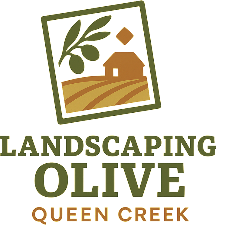 Landscaping Olive Queen Creek